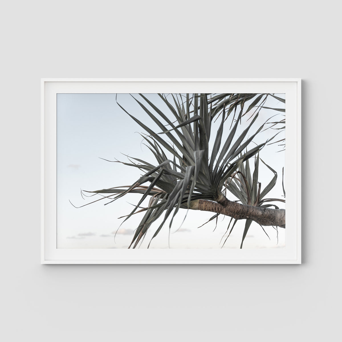 Pandanus Branch - Art Print - Traditional Frame - White - Landscape