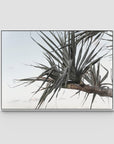 Pandanus Branch - Art Print - Float Frame Canvas - White - Landscape