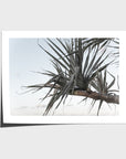 Pandanus Branch - Art Print - Fine Art Paper - Unframed Print - Landscape