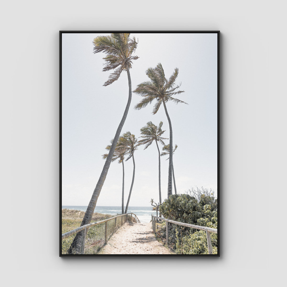 Gold Coast Palms - Gold Coast - Art Print - Float Frame Canvas - Black - Portrait