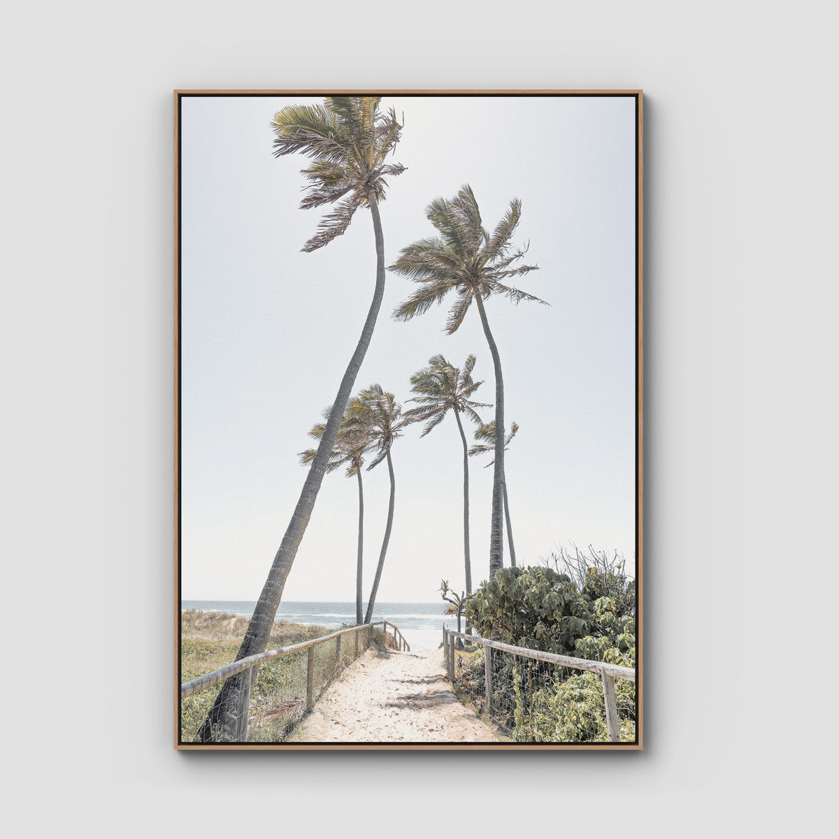 Gold Coast Palms - Gold Coast - Art Print - Float Frame Canvas - Raw Oak - Portrait