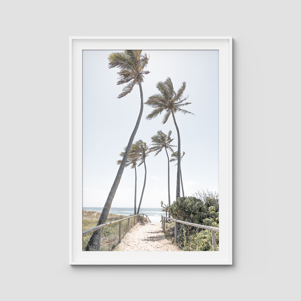 Gold Coast Palms - Gold Coast - Art Print - Traditional Frame - White - Portrait