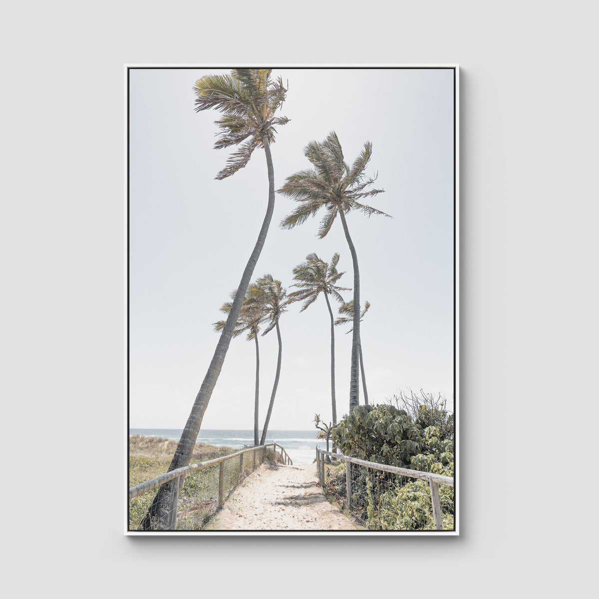 Gold Coast Palms - Gold Coast - Art Print - Float Frame Canvas - White - Portrait