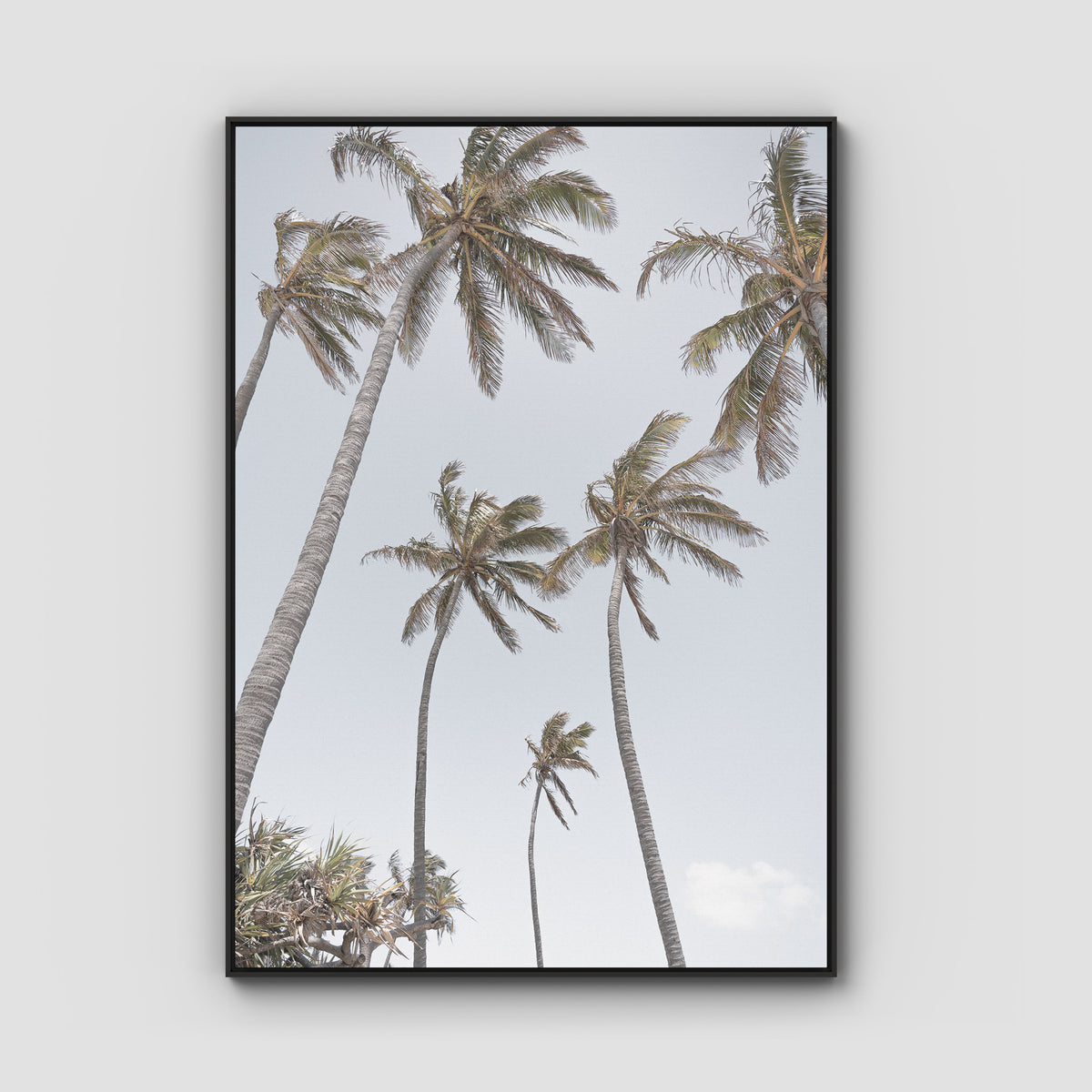 Tropical Palms - Art Print - Float Frame Canvas - Black - Portrait
