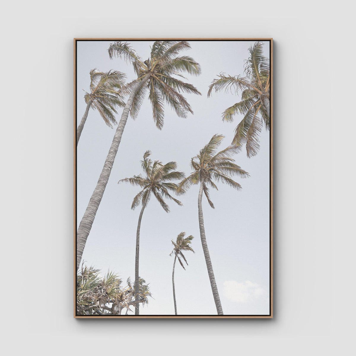 Tropical Palms - Art Print - Float Frame Canvas - Raw Oak - Portrait
