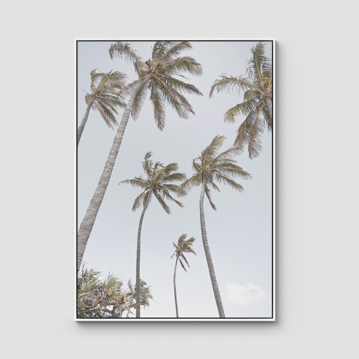 Tropical Palms - Art Print - Float Frame Canvas - White - Portrait