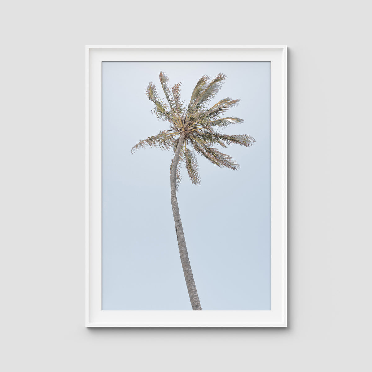 Single Palm - Art Print - Traditional Frame - White - Portrait