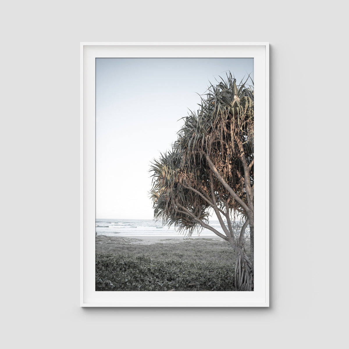 Pandanus By The Sea iii - Art Print - Traditional Frame - White - Portrait