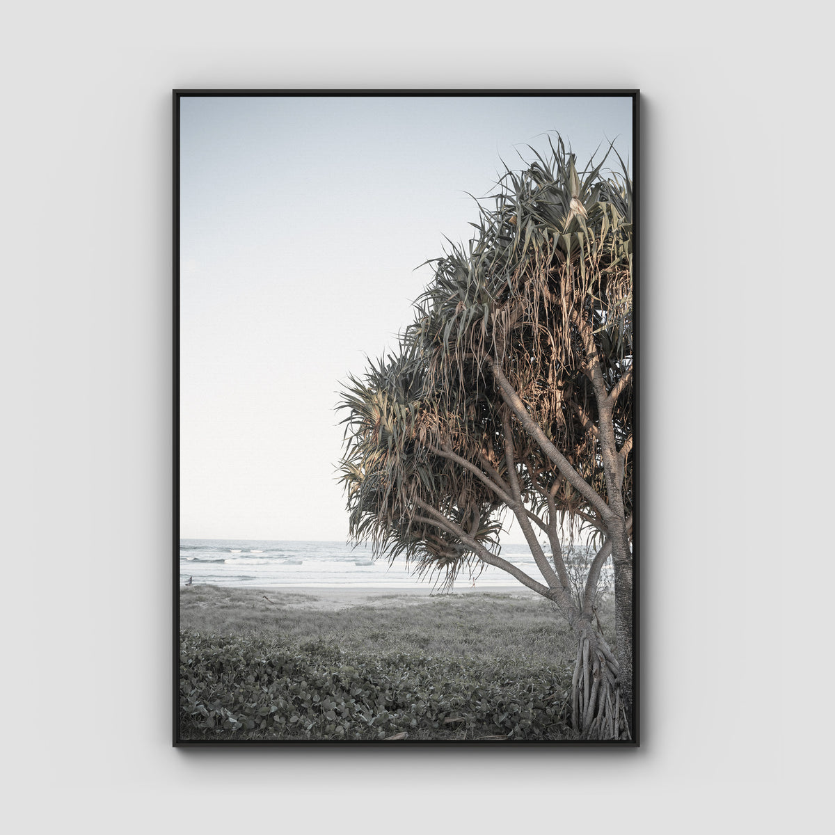 Pandanus By The Sea iii - Art Print - Float Frame Canvas - Black - Portrait