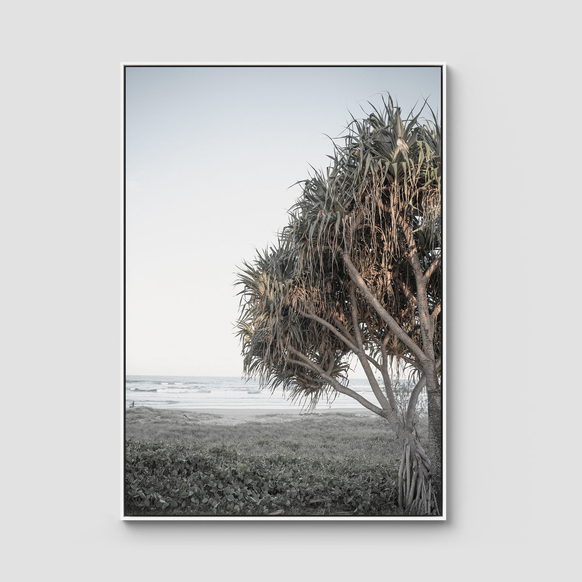 Pandanus By The Sea iii - Art Print - Float Frame Canvas - White - Portrait