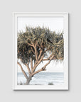 Pandanus By The Sea - Art Print - Traditional Frame - White - Portrait