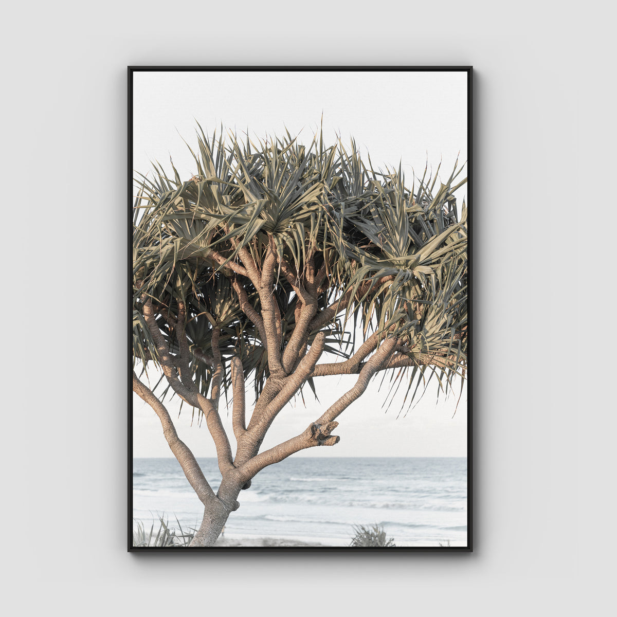Pandanus By The Sea - Art Print - Float Frame Canvas - Black - Portrait