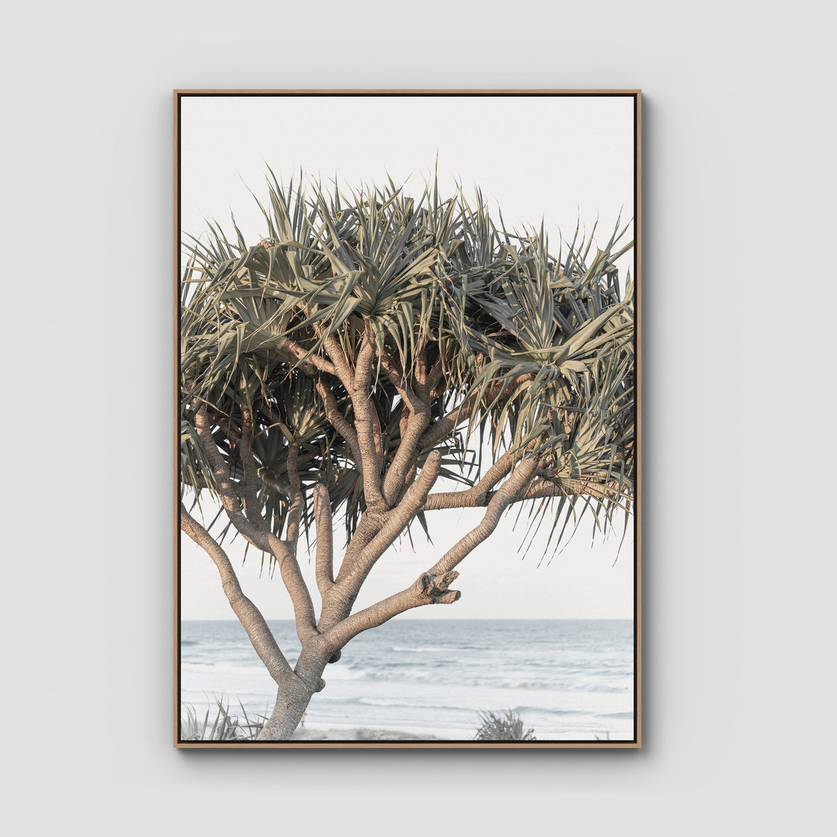 Pandanus By The Sea - Art Print - Float Frame Canvas - Raw Oak - Portrait