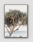Pandanus By The Sea - Art Print - Float Frame Canvas - Raw Oak - Portrait
