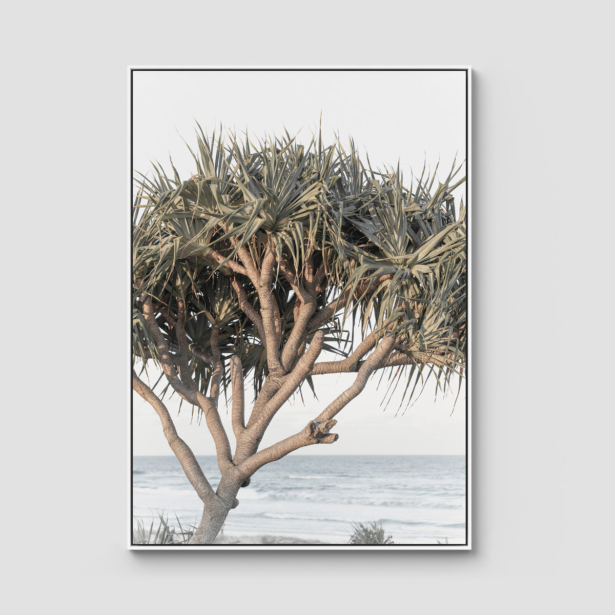 Pandanus By The Sea - Art Print - Float Frame Canvas - White - Portrait