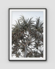 Pandanus Arvo Sun - Art Print - Traditional Frame - Black - Portrait