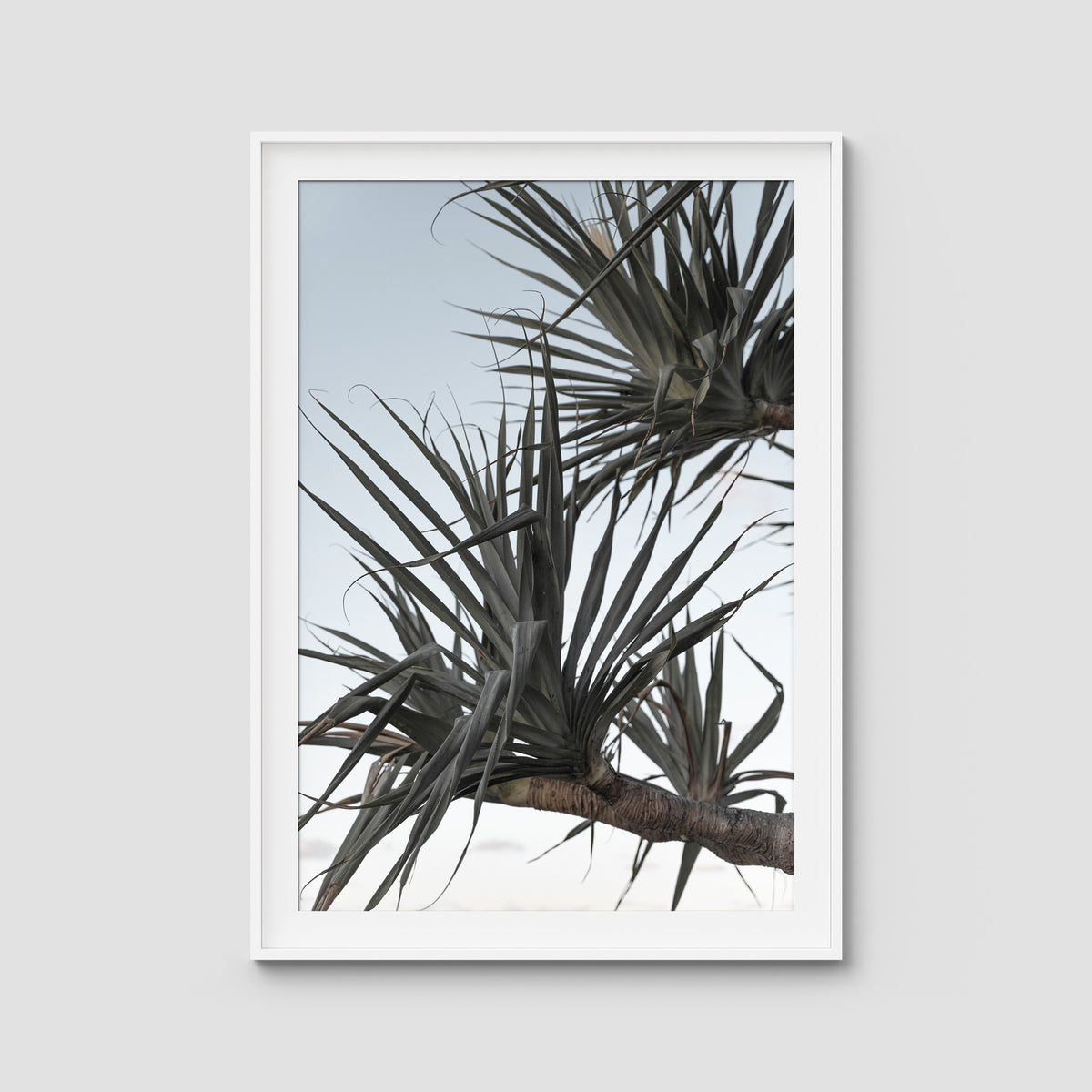 Pandanus Branch - Art Print - Traditional Frame - White - Portrait