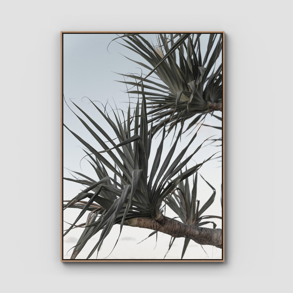 Pandanus Branch - Art Print - Float Frame Canvas - Raw Oak - Portrait