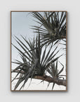 Pandanus Branch - Art Print - Float Frame Canvas - Raw Oak - Portrait