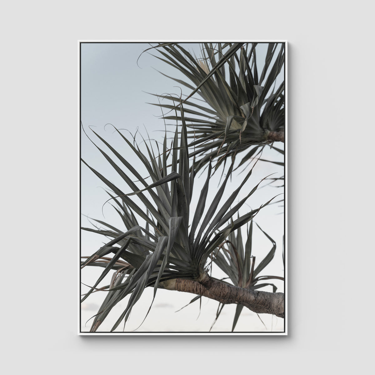 Pandanus Branch - Art Print - Float Frame Canvas - White - Portrait