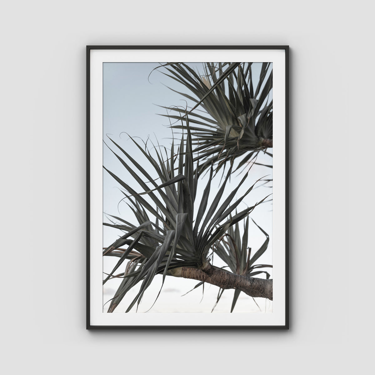 Pandanus Branch - Art Print - Traditional Frame - Black - Portrait