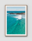 Snapper Fun Days - Gold Coast - Art Print - Traditional Frame - Raw Oak - Portrait