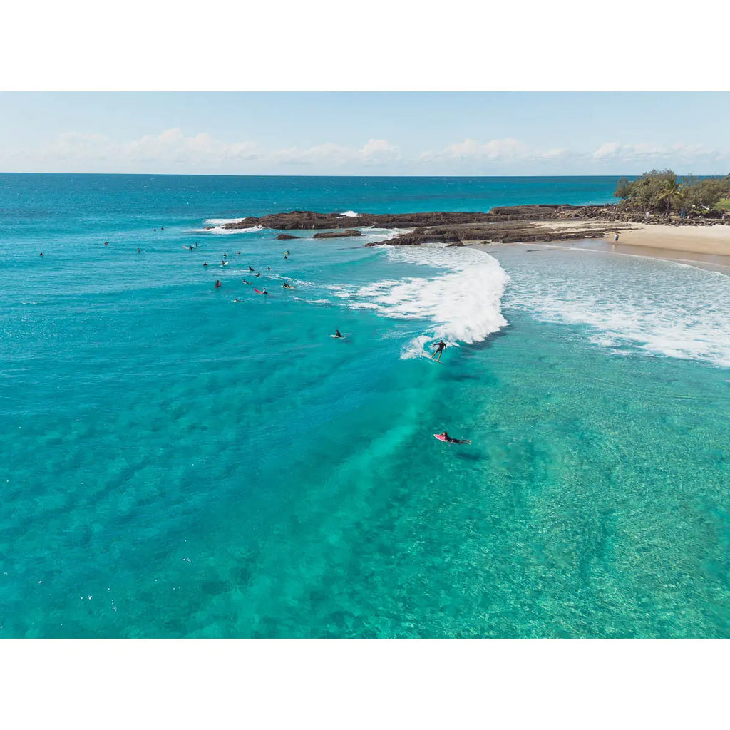 Snapper Fun Days - Gold Coast - Art Print Tidaltones