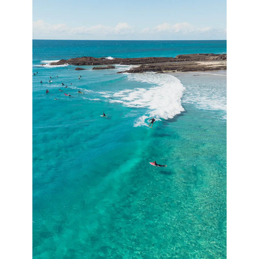 Snapper Fun Days - Gold Coast - Art Print Tidaltones