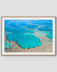 Great Barrier Reef Veins - Art Print - Traditional Frame - Raw Oak - Landscape