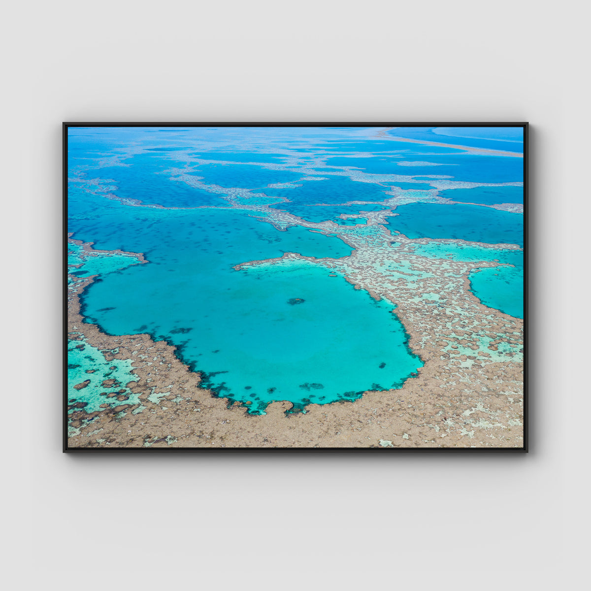 Great Barrier Reef Veins - Art Print - Float Frame Canvas - Black - Landscape