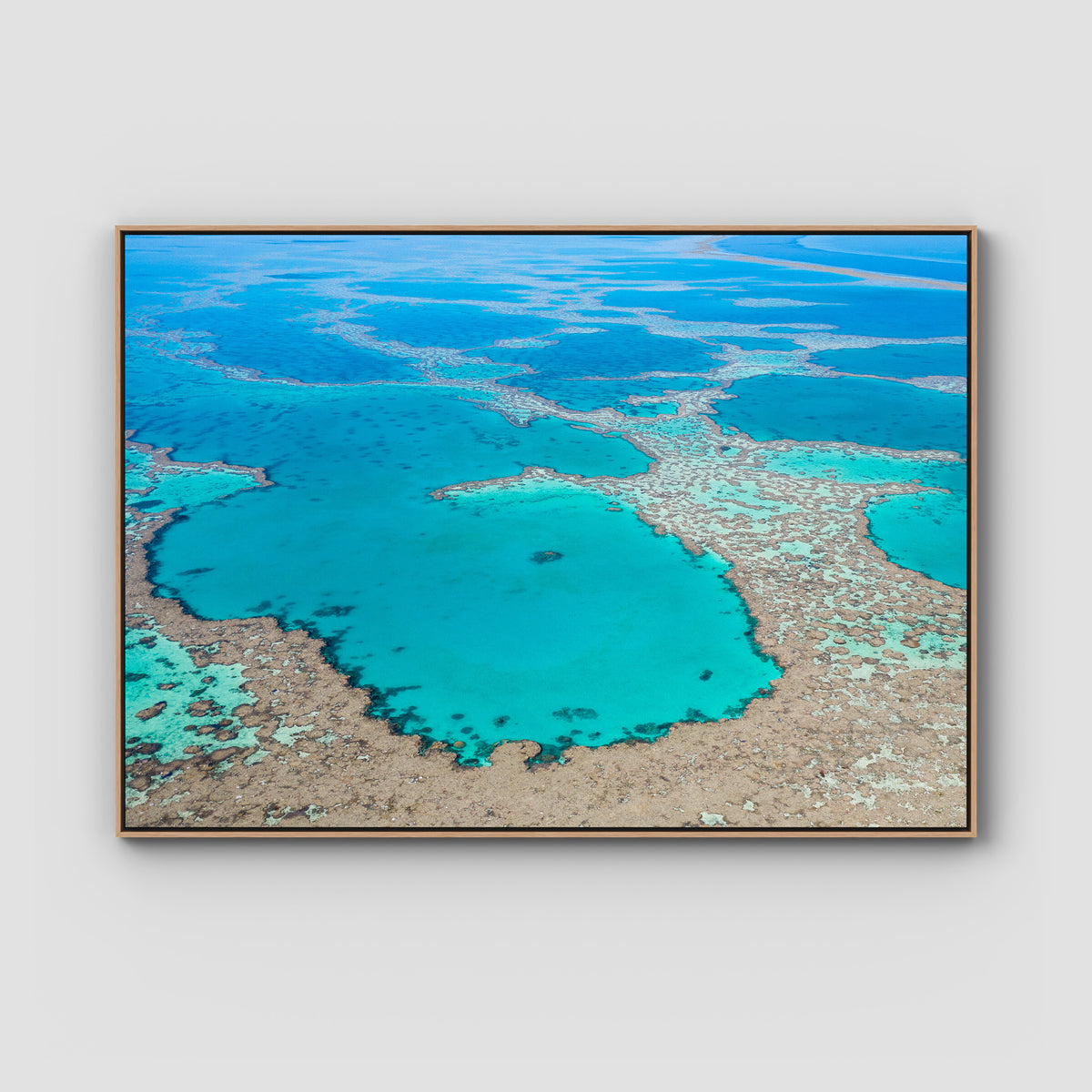 Great Barrier Reef Veins - Art Print - Float Frame Canvas - Raw Oak - Landscape