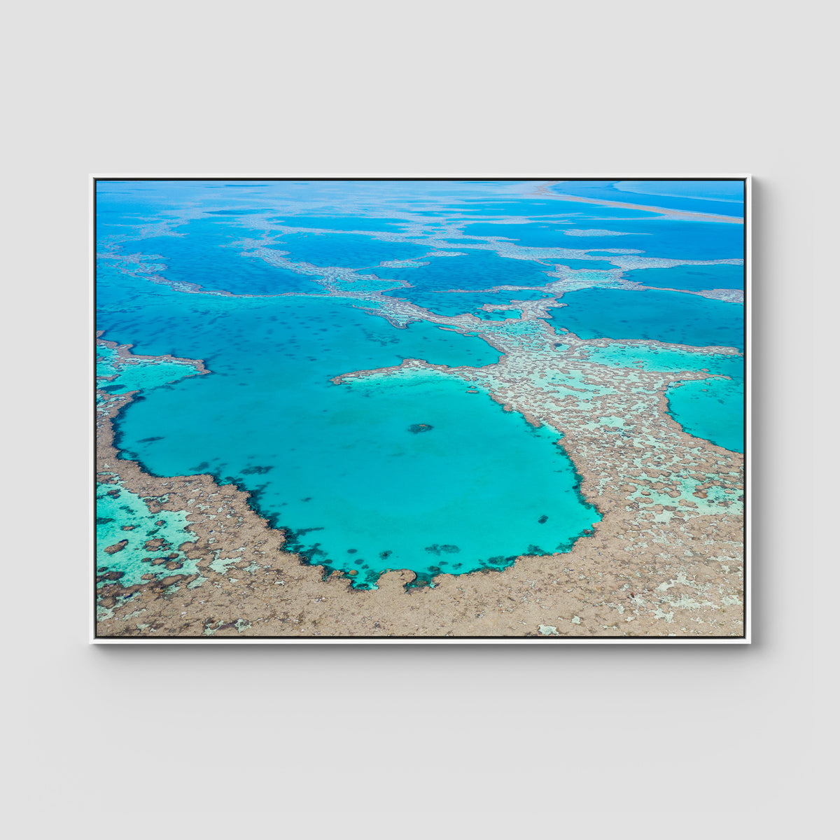 Great Barrier Reef Veins - Art Print - Float Frame Canvas - White - Landscape
