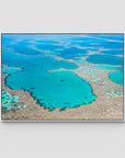 Great Barrier Reef Veins - Art Print - Float Frame Canvas - White - Landscape