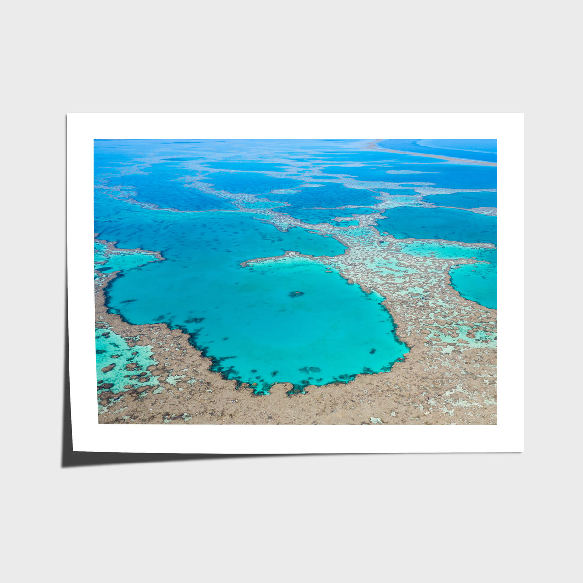 Great Barrier Reef Veins - Art Print - Fine Art Paper - Unframed Print - Landscape