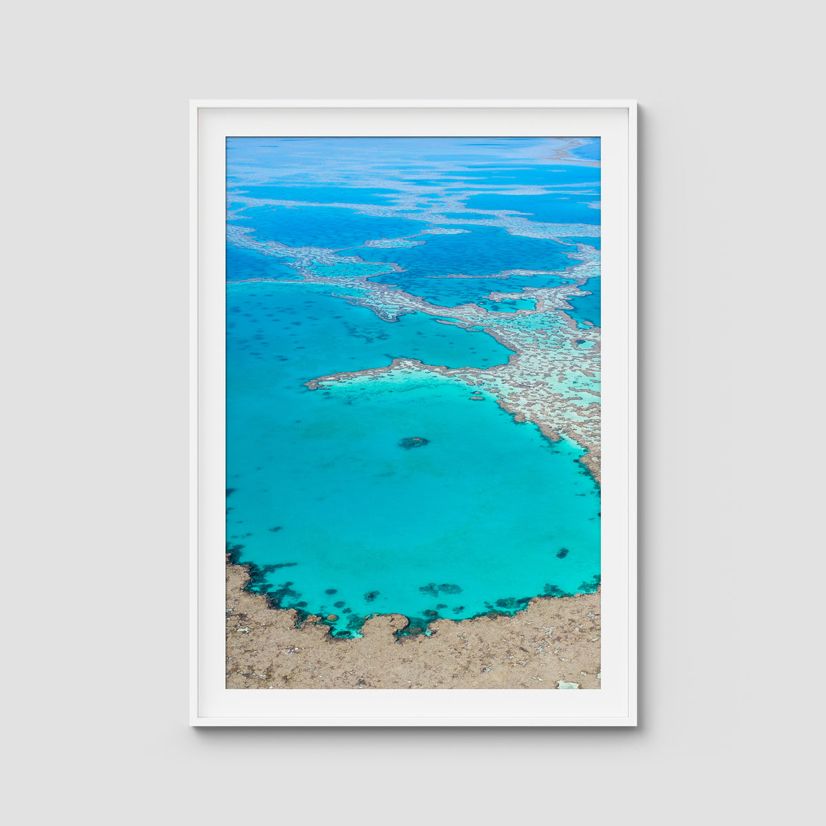Great Barrier Reef Veins - Art Print - Traditional Frame - White - Portrait