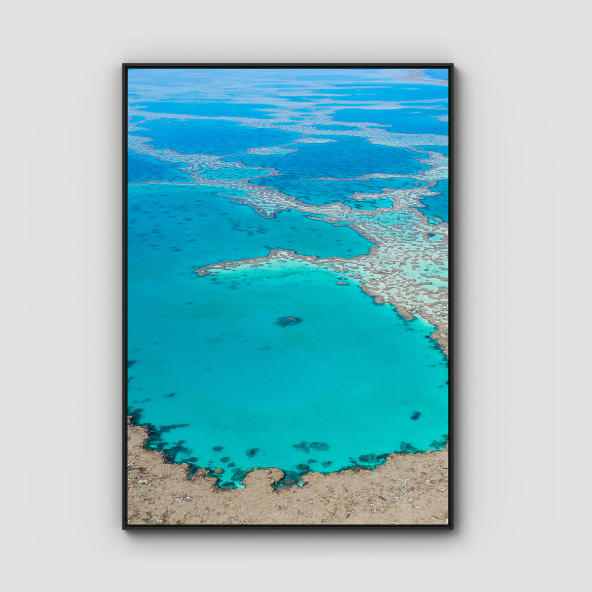 Great Barrier Reef Veins - Art Print - Float Frame Canvas - Black - Portrait