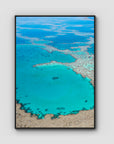 Great Barrier Reef Veins - Art Print - Float Frame Canvas - Black - Portrait