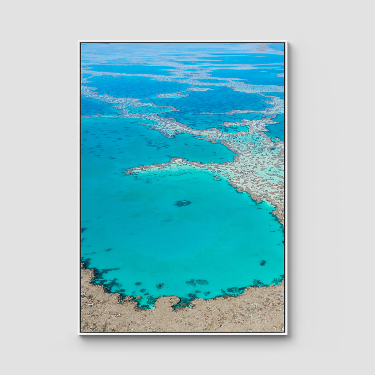 Great Barrier Reef Veins - Art Print - Float Frame Canvas - White - Portrait