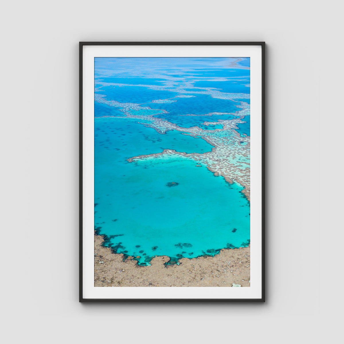 Great Barrier Reef Veins - Art Print - Traditional Frame - Black - Portrait