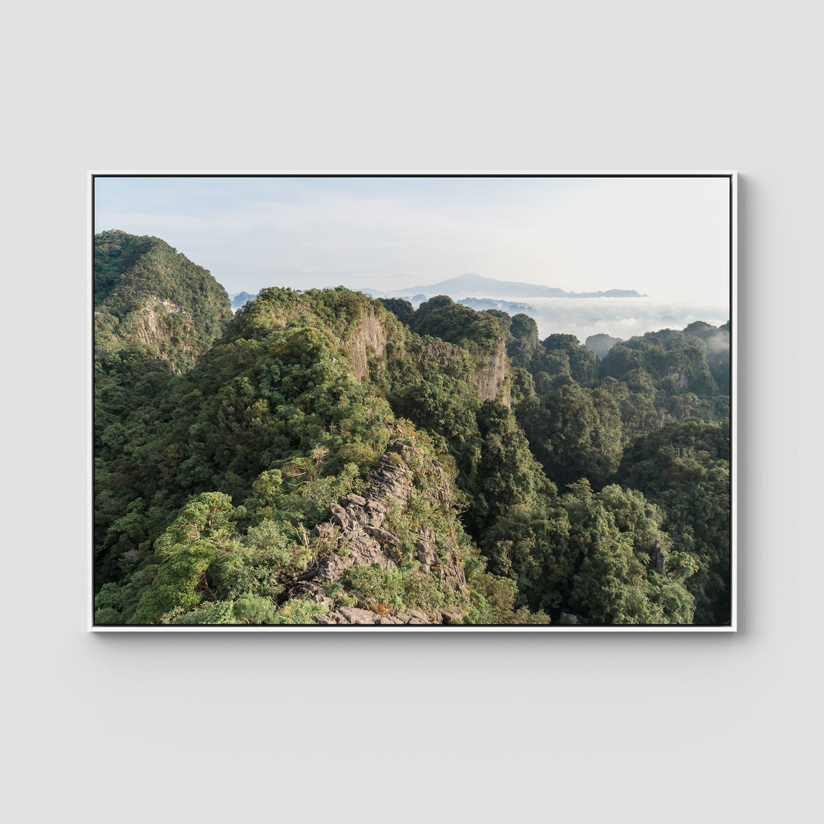Top of The World - Art Print - Float Frame Canvas - White - Landscape