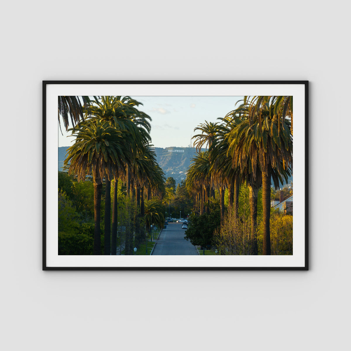 Hollywood Sign Palm Trees - Art Print - Traditional Frame - Black - Landscape
