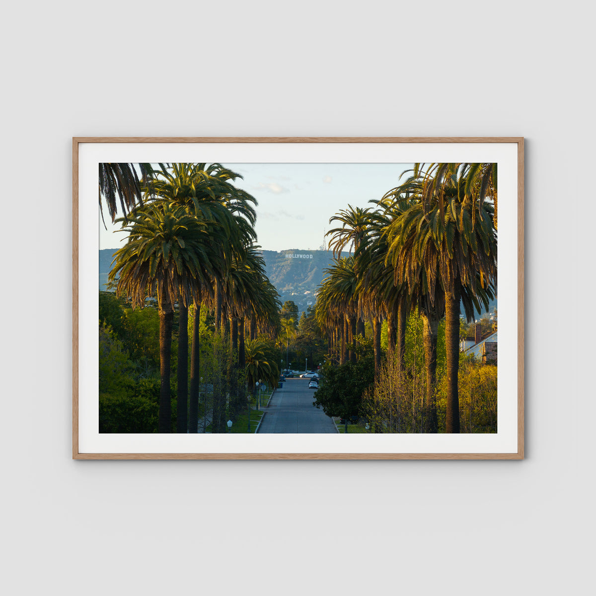 Hollywood Sign Palm Trees - Art Print - Traditional Frame - Raw Oak - Landscape