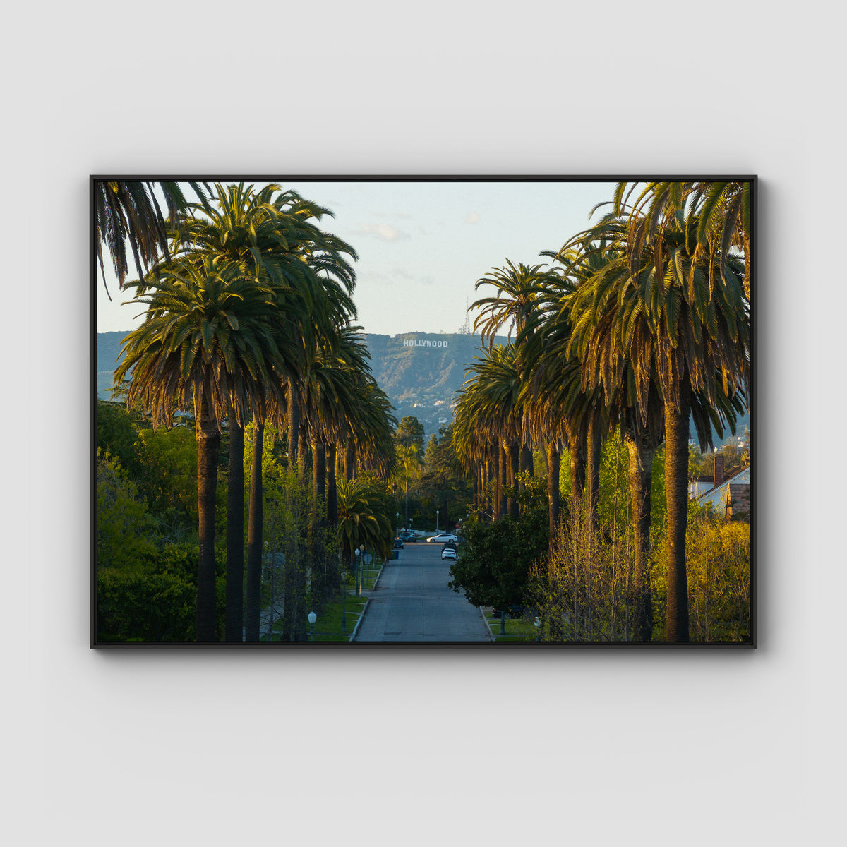 Hollywood Sign Palm Trees - Art Print - Float Frame Canvas - Black - Landscape