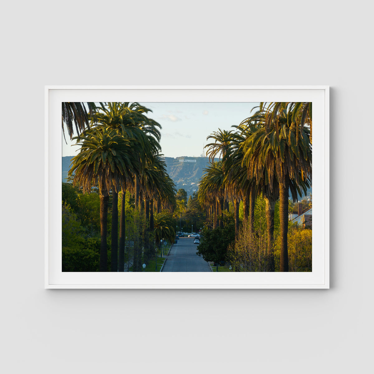Hollywood Sign Palm Trees - Art Print - Traditional Frame - White - Landscape