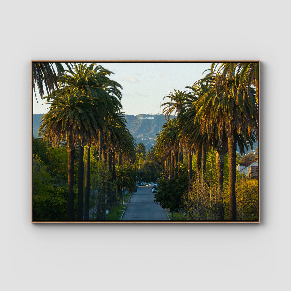 Hollywood Sign Palm Trees - Art Print - Float Frame Canvas - Raw Oak - Landscape