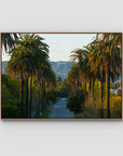 Hollywood Sign Palm Trees - Art Print - Float Frame Canvas - Raw Oak - Landscape