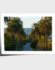 Hollywood Sign Palm Trees - Art Print - Fine Art Paper - Unframed Print - Landscape