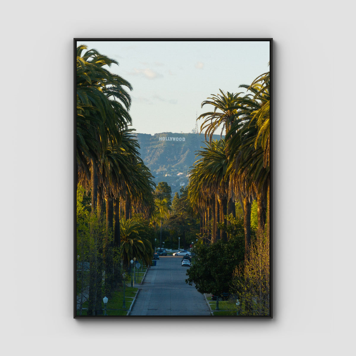 Hollywood Sign Palm Trees - Art Print - Float Frame Canvas - Black - Portrait