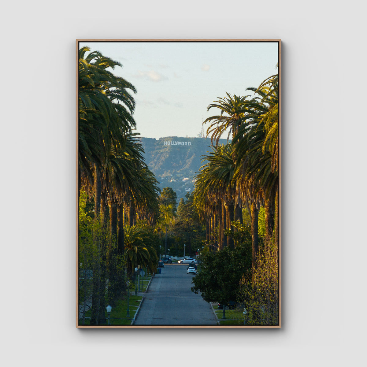 Hollywood Sign Palm Trees - Art Print - Float Frame Canvas - Raw Oak - Portrait