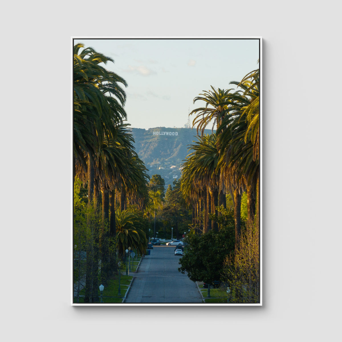 Hollywood Sign Palm Trees - Art Print - Float Frame Canvas - White - Portrait